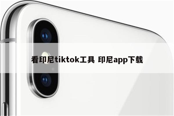 看印尼tiktok工具 印尼app下载
