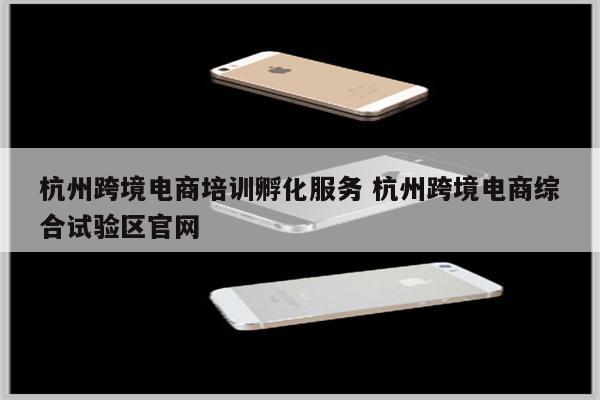 杭州跨境电商培训孵化服务 杭州跨境电商综合试验区官网