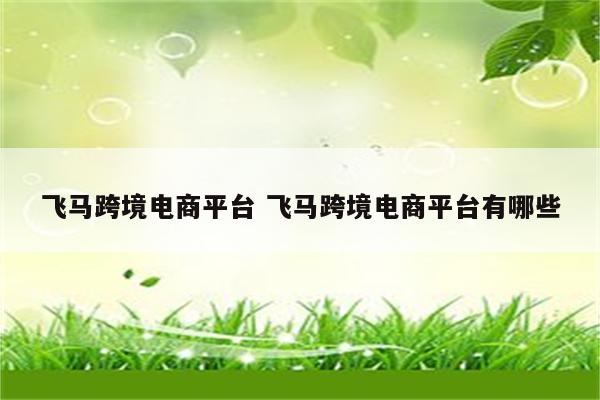 飞马跨境电商平台 飞马跨境电商平台有哪些