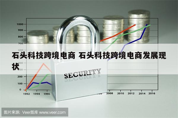 石头科技跨境电商 石头科技跨境电商发展现状