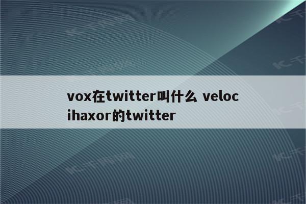 vox在twitter叫什么 velocihaxor的twitter