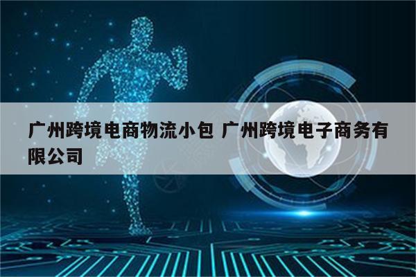广州跨境电商物流小包 广州跨境电子商务有限公司