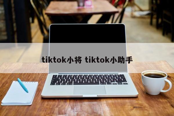 tiktok小将 tiktok小助手