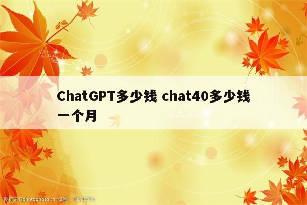 ChatGPT多少钱 chat40多少钱一个月