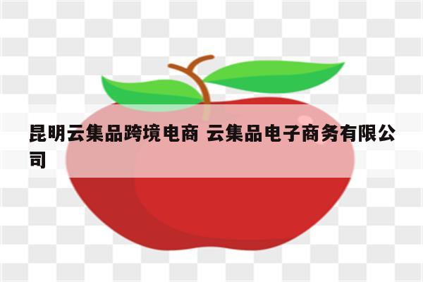 昆明云集品跨境电商 云集品电子商务有限公司
