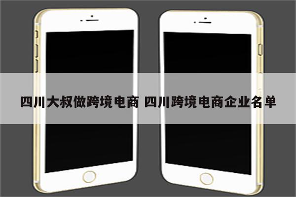 四川大叔做跨境电商 四川跨境电商企业名单