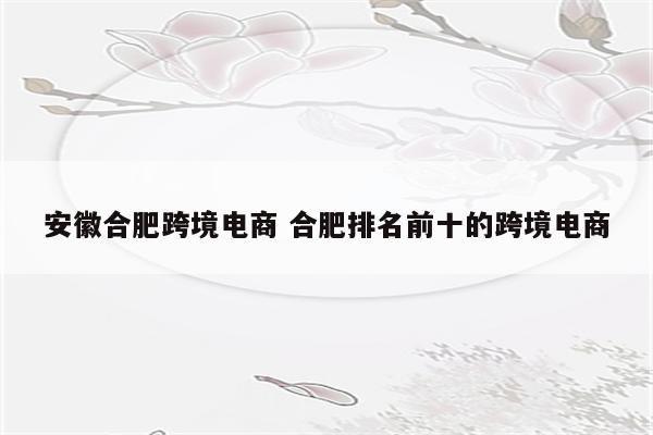 安徽合肥跨境电商 合肥排名前十的跨境电商
