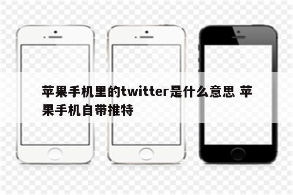 苹果手机里的twitter是什么意思 苹果手机自带推特