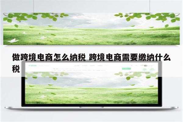 做跨境电商怎么纳税 跨境电商需要缴纳什么税