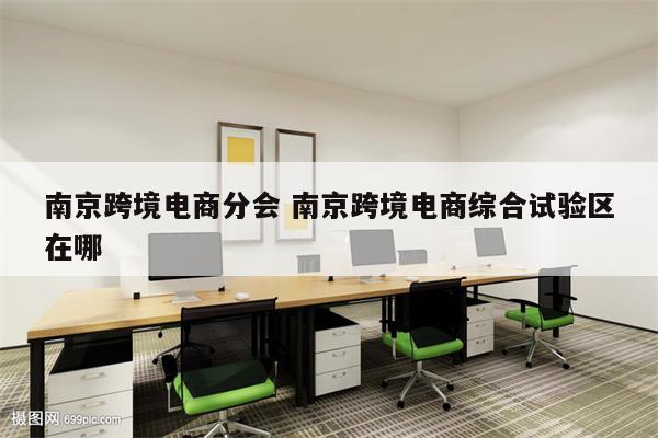 南京跨境电商分会 南京跨境电商综合试验区在哪