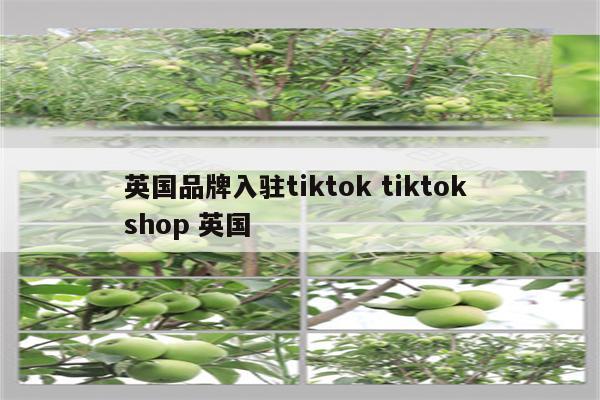 英国品牌入驻tiktok tiktok shop 英国