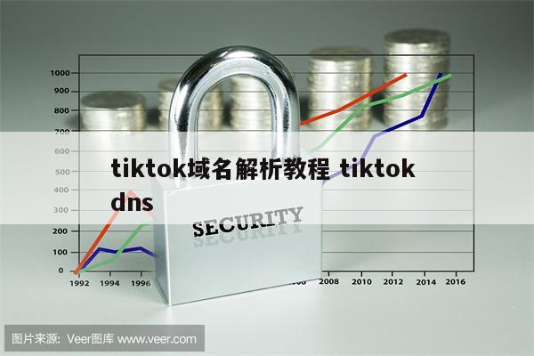 tiktok域名解析教程 tiktok dns