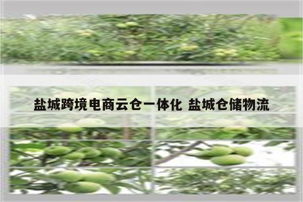 盐城跨境电商云仓一体化 盐城仓储物流