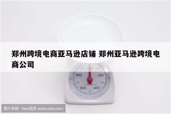 郑州跨境电商亚马逊店铺 郑州亚马逊跨境电商公司