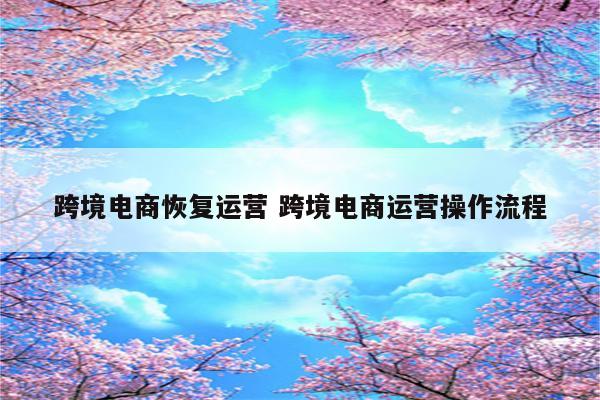 跨境电商恢复运营 跨境电商运营操作流程