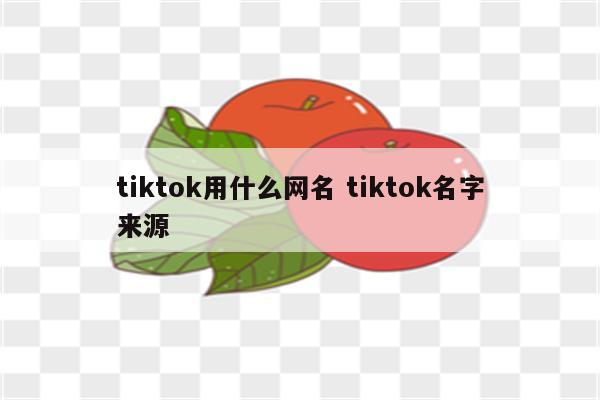 tiktok用什么网名 tiktok名字来源
