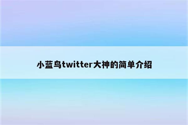 小蓝鸟twitter大神的简单介绍