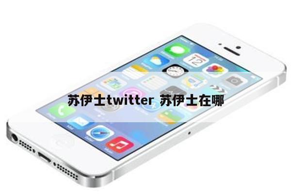 苏伊士twitter 苏伊士在哪
