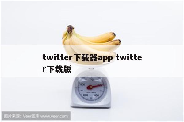 twitter下载器app twitter下载版