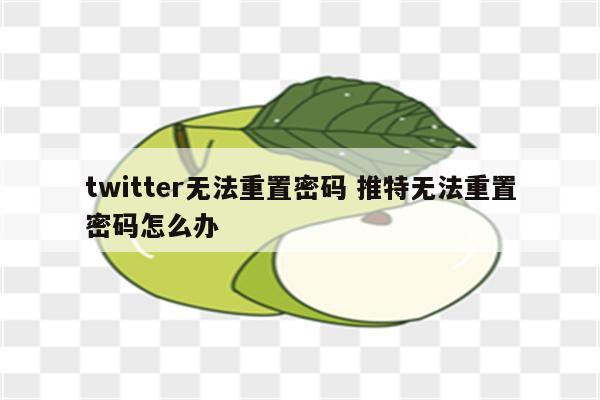 twitter无法重置密码 推特无法重置密码怎么办