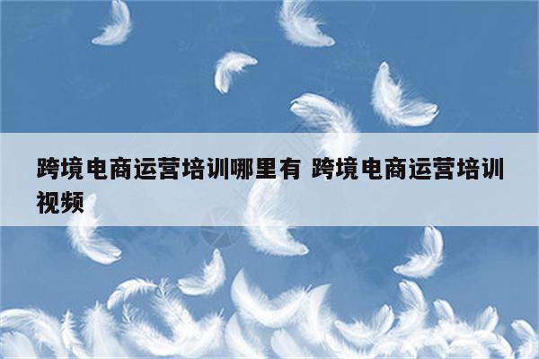 跨境电商运营培训哪里有 跨境电商运营培训视频