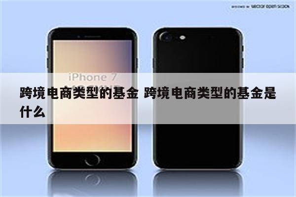 跨境电商类型的基金 跨境电商类型的基金是什么