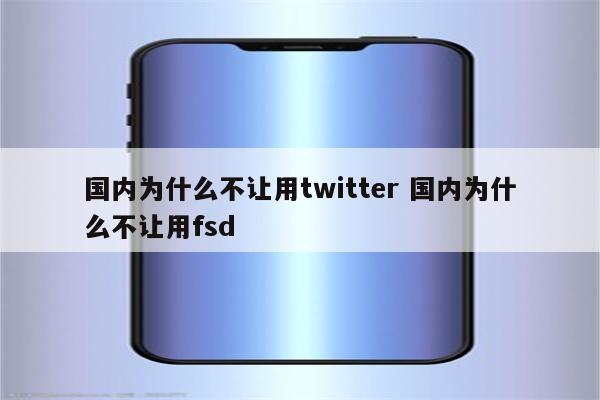 国内为什么不让用twitter 国内为什么不让用fsd