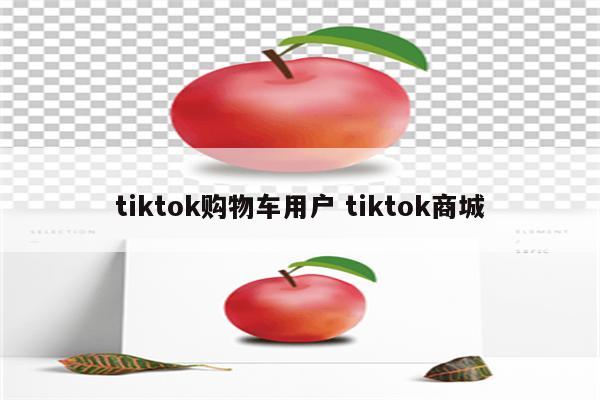 tiktok购物车用户 tiktok商城