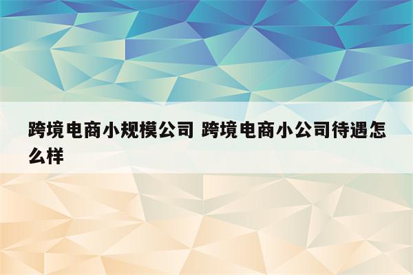 跨境电商小规模公司 跨境电商小公司待遇怎么样