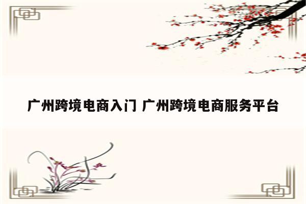 广州跨境电商入门 广州跨境电商服务平台