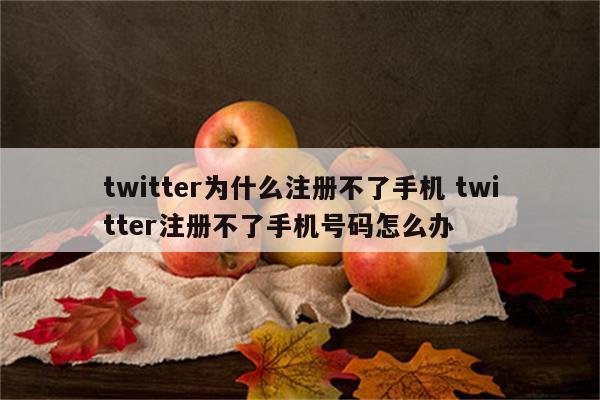 twitter为什么注册不了手机 twitter注册不了手机号码怎么办