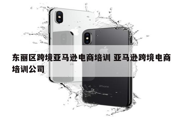 东丽区跨境亚马逊电商培训 亚马逊跨境电商培训公司