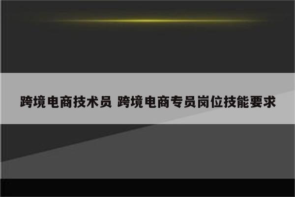 跨境电商技术员 跨境电商专员岗位技能要求