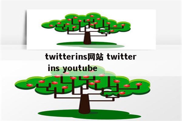 twitterins网站 twitter ins youtube