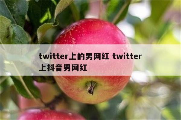 twitter上的男网红 twitter上抖音男网红