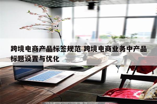 跨境电商产品标签规范 跨境电商业务中产品标题设置与优化