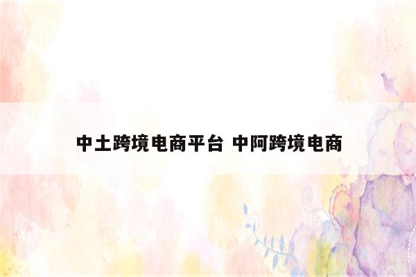 中土跨境电商平台 中阿跨境电商