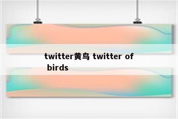 twitter黄鸟 twitter of birds