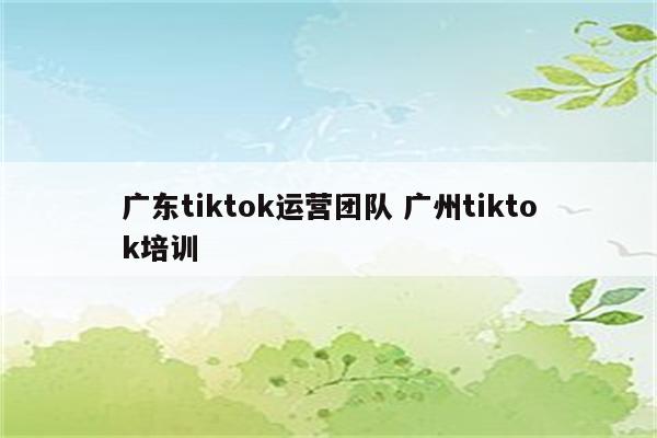 广东tiktok运营团队 广州tiktok培训