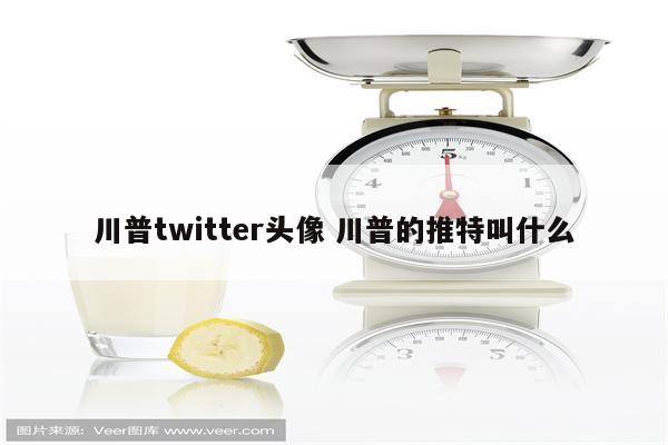 川普twitter头像 川普的推特叫什么