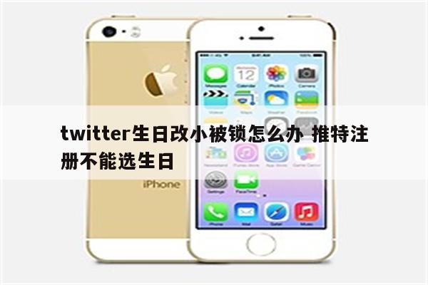 twitter生日改小被锁怎么办 推特注册不能选生日