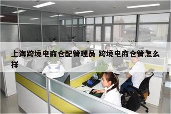 上海跨境电商仓配管理员 跨境电商仓管怎么样