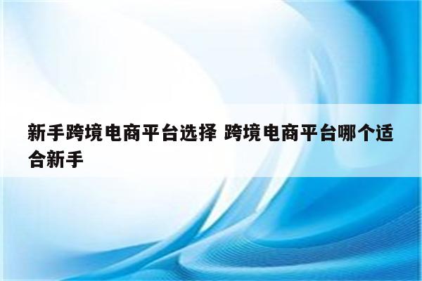 新手跨境电商平台选择 跨境电商平台哪个适合新手