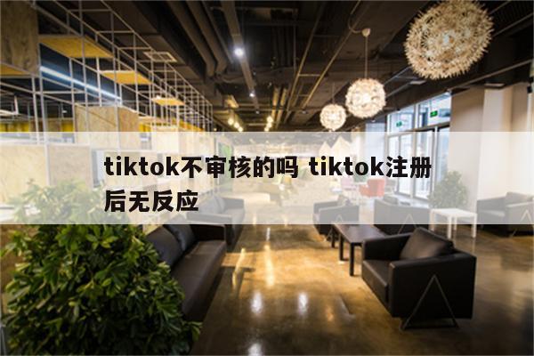 tiktok不审核的吗 tiktok注册后无反应