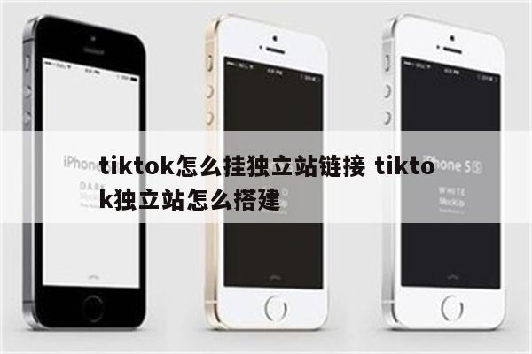 tiktok怎么挂独立站链接 tiktok独立站怎么搭建