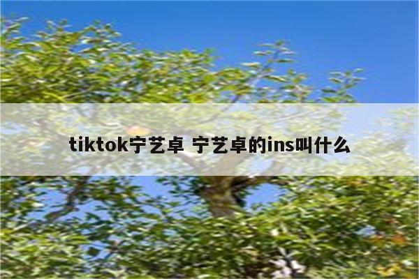 tiktok宁艺卓 宁艺卓的ins叫什么