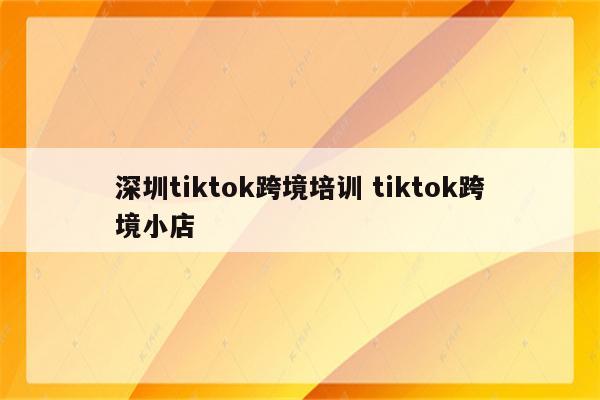 深圳tiktok跨境培训 tiktok跨境小店