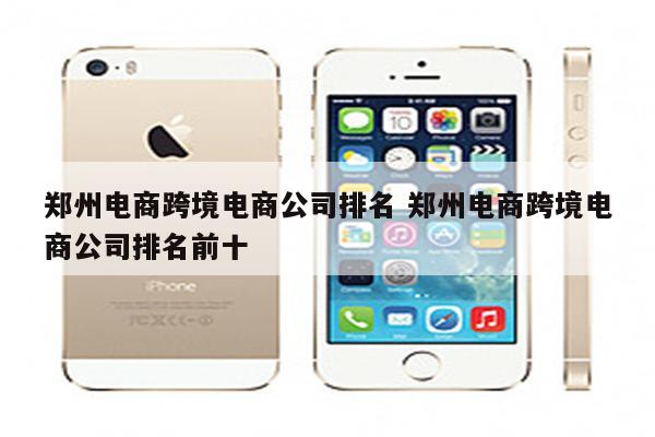 郑州电商跨境电商公司排名 郑州电商跨境电商公司排名前十