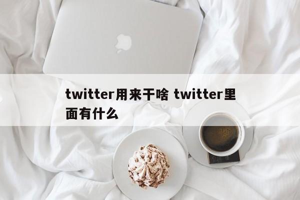 twitter用来干啥 twitter里面有什么