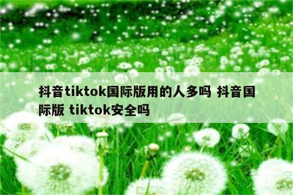 抖音tiktok国际版用的人多吗 抖音国际版 tiktok安全吗